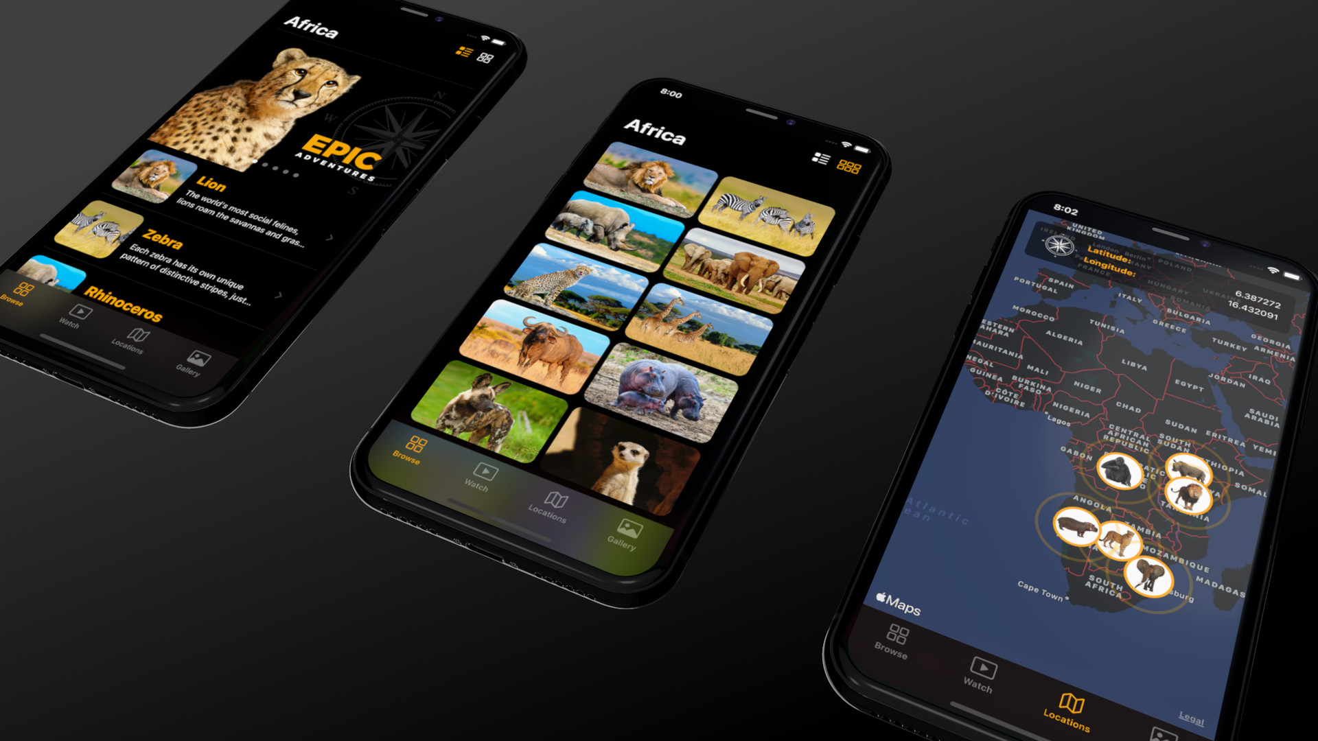 iOS 14 app on iPhones