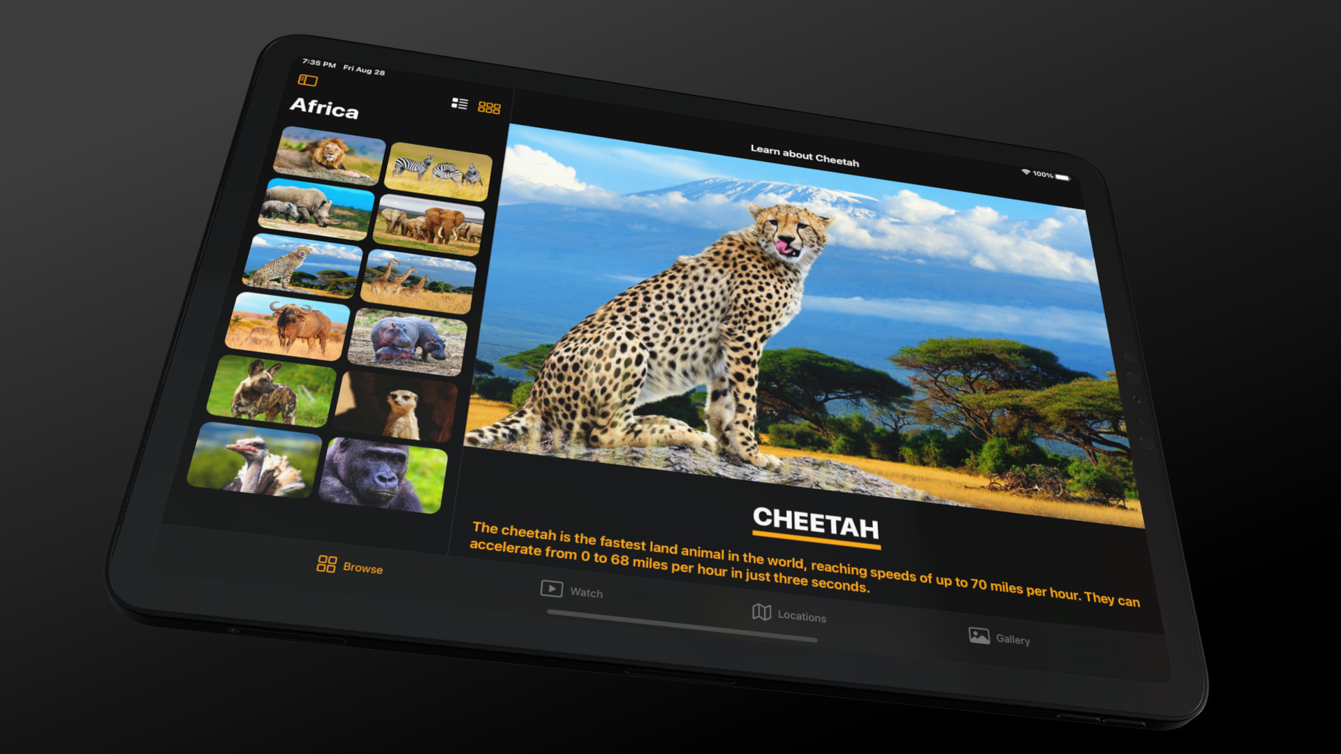 Grid layout and detailed view