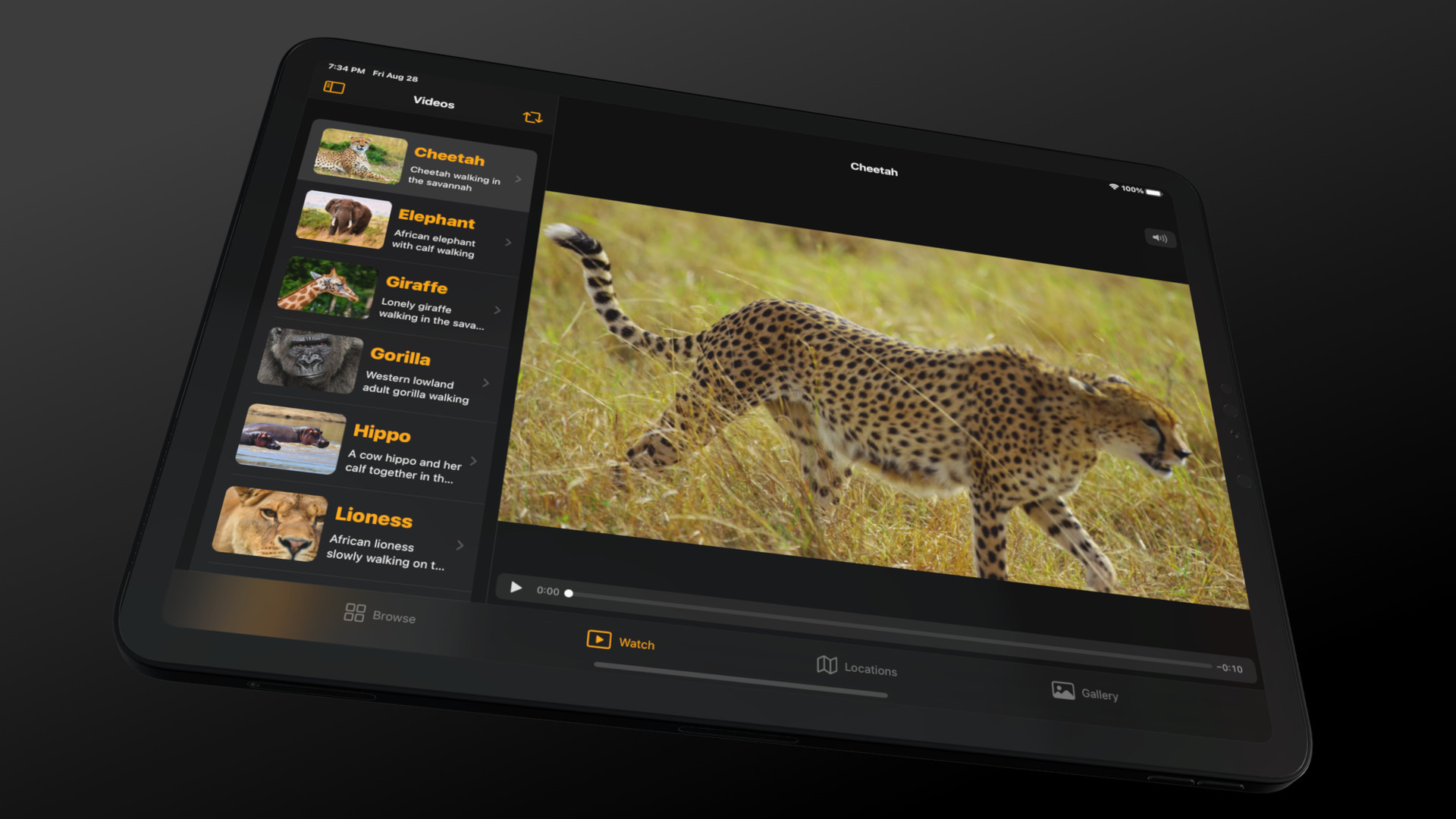 Video player with SwiftUI