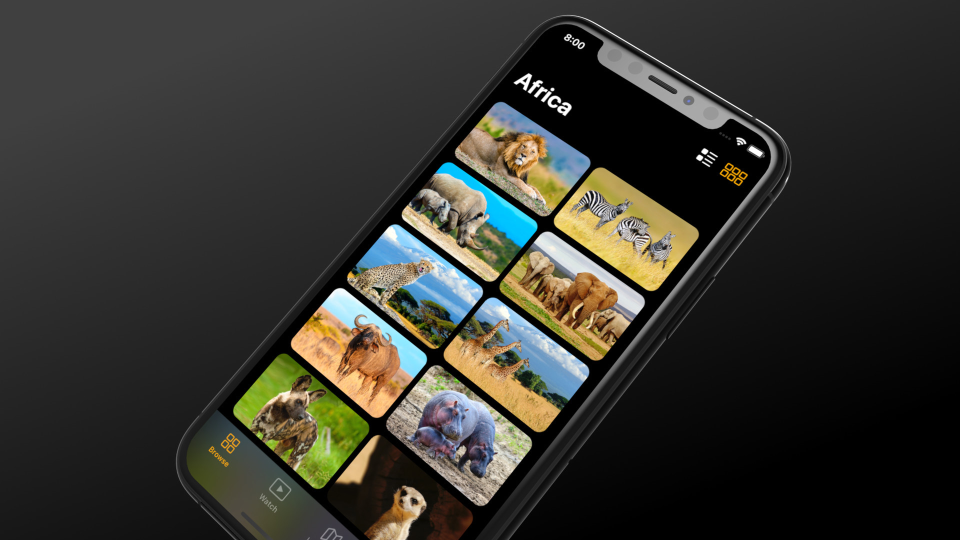 Grid layout with SwiftUI