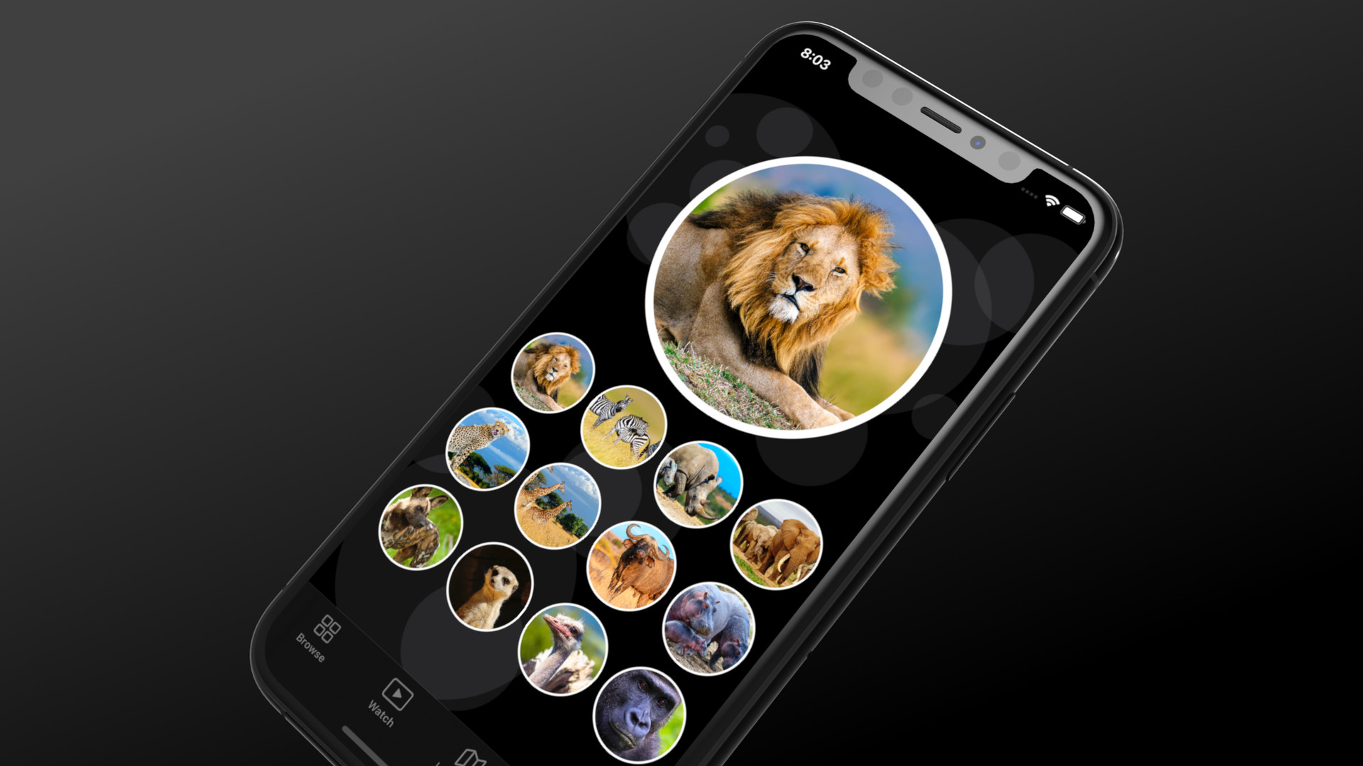Simple grid layout made with SwiftUI